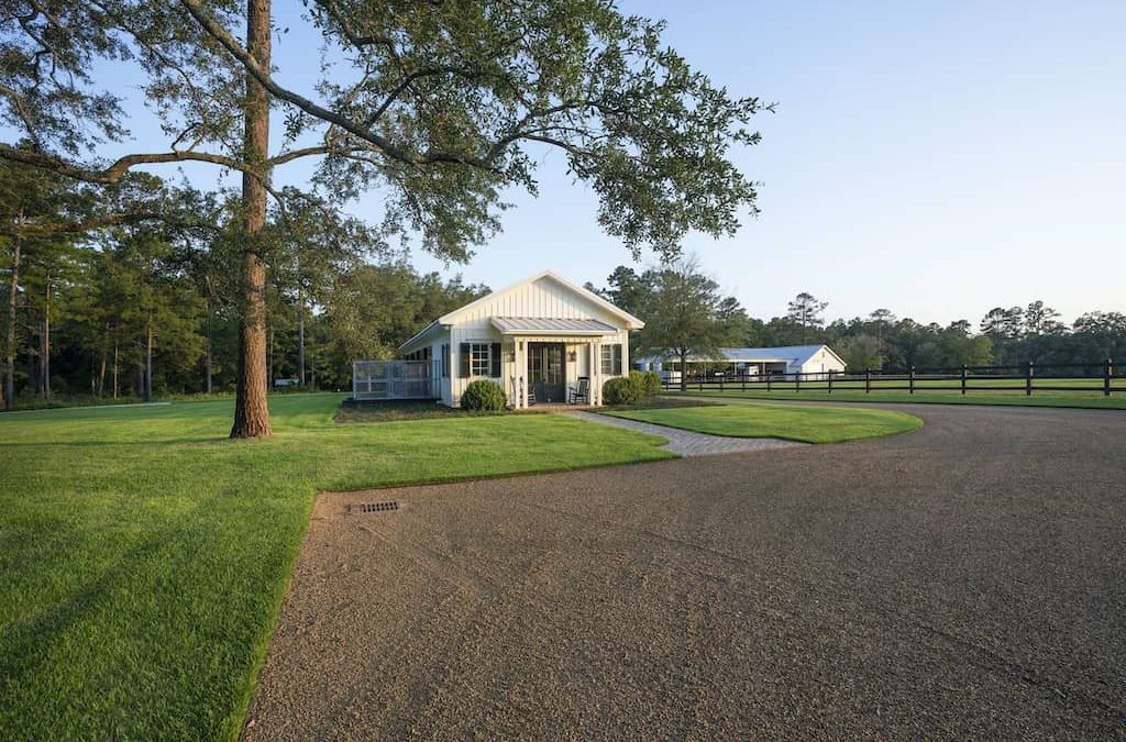 Boxwoods for sale Highlands NC | you will love the result