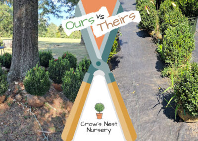 Gallery Ours Vs Theirs Version 14 Crows Next