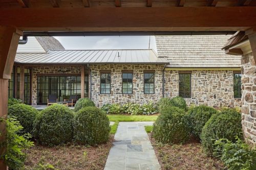 Big Boxwoods For Sale Richmond Virginia | Buxus Sempervirens 7