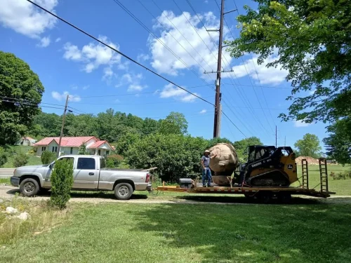 Boxwoods For Sale Knoxville TN On The Farm 7.15.26 2