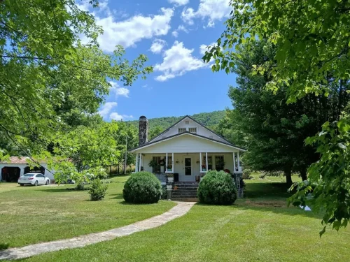 Boxwoods For Sale Knoxville TN On The Farm 7.15.26 3