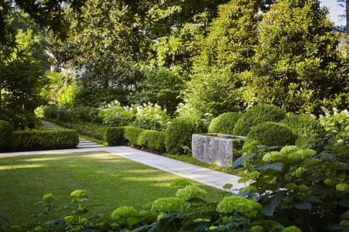 Boxwoods For Sale Atlanta GA03