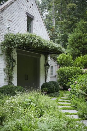 Boxwoods For Sale Atlanta GA08