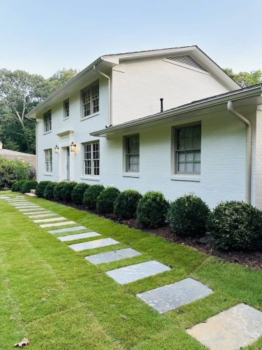 Boxwoods For Sale Maryland | Buxus Sempervirens 2