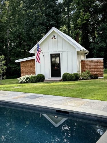 Boxwoods For Sale Maryland | Buxus Sempervirens 4