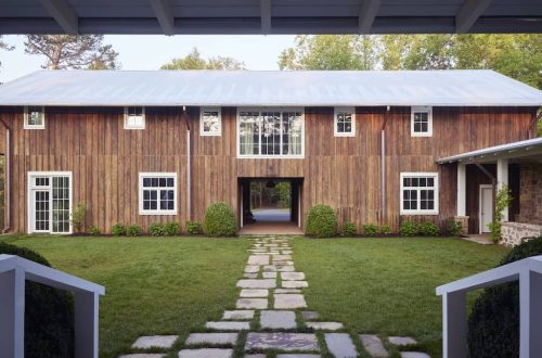 Boxwoods For Sale Washington DC | Buxus Sempervirens 10