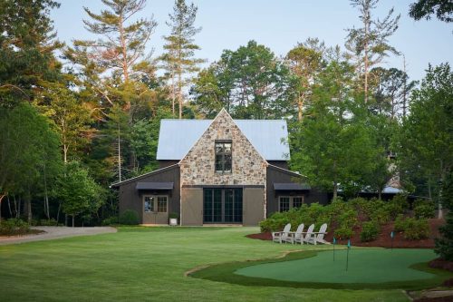 Boxwoods For Sale Washington DC | Buxus Sempervirens 2