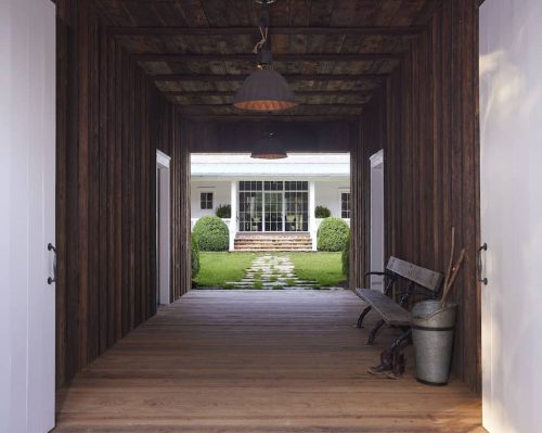 Boxwoods For Sale Washington DC | Buxus Sempervirens 9