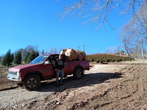 Boxwood Growers North Carolina 002