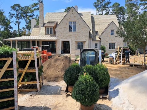 Big-Boxwoods-for-Sale-Lexington-KY- -Buxus-Sempervirens-5-at-delivery
