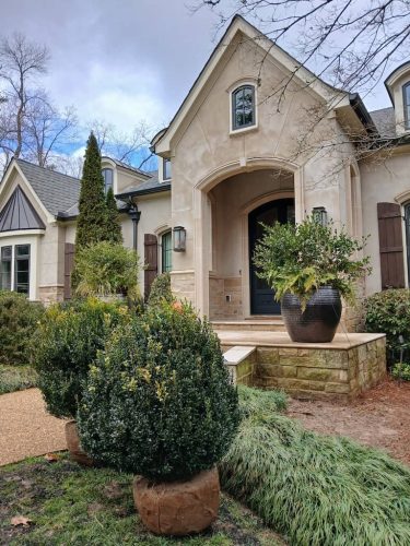 Boxwood-Growers-North-Carolina-10