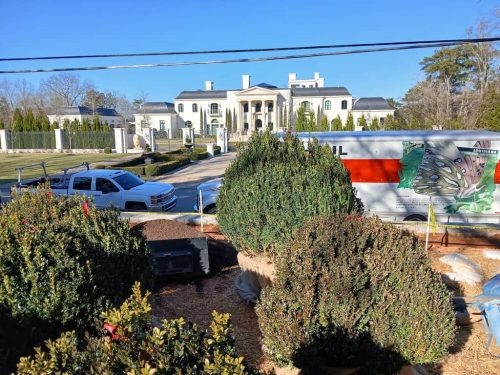 Boxwood-Growers-North-Carolina-6