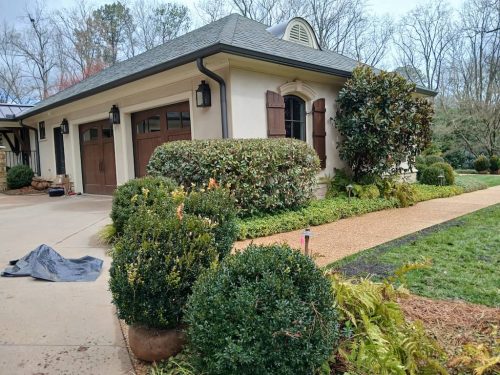 Boxwood-Growers-North-Carolina-9
