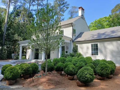 Boxwood-Growers-North-Carolina-at-delivery-5-11-26-02