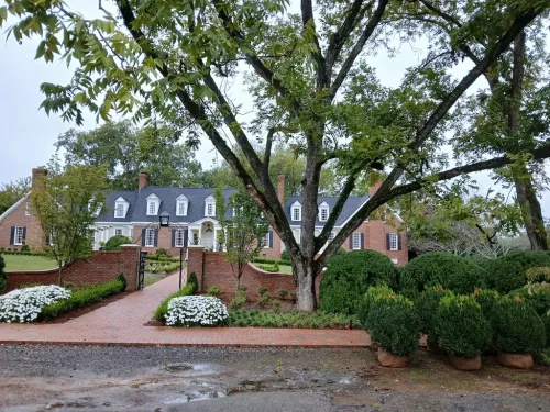 Boxwoods-For-Sale-Knoxville-TN-10-3-26-At-Delivery-1