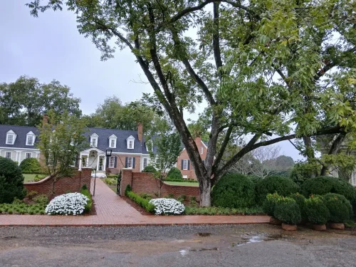 Boxwoods-For-Sale-Knoxville-TN-10-3-26-At-Delivery-3