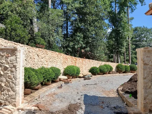 Boxwoods-For-Sale-Knoxville-TN-8-27-26-7