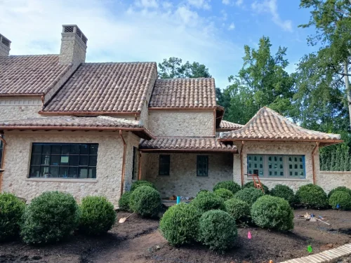 Boxwoods-For-Sale-Knoxville-TN-8-27-26-8