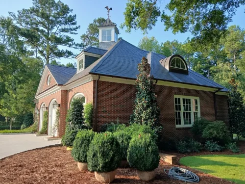 Boxwoods-For-Sale-Knoxville-TN-8-4-26-003