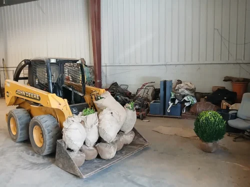 Boxwoods-For-Sale-Knoxville-TN-8-4-26-006